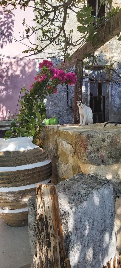 Vryses Crete-Village Vibes Bagian luar foto